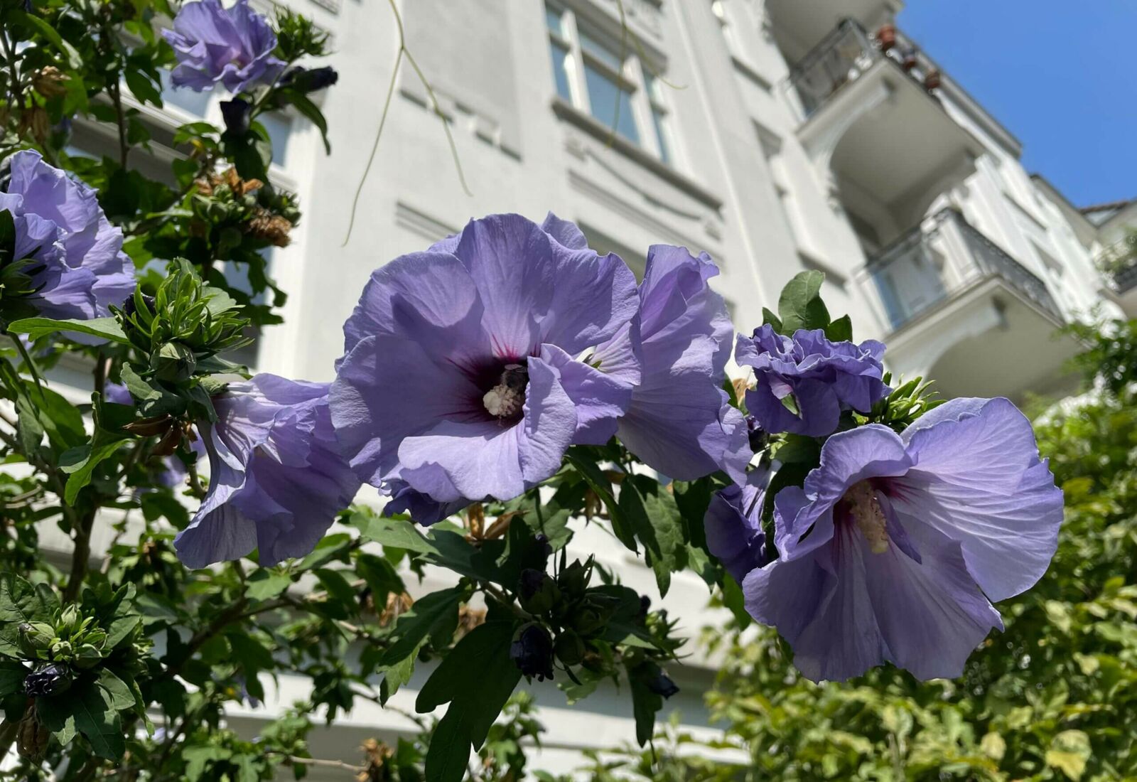 Kirchengemeinde Eimsbüttel